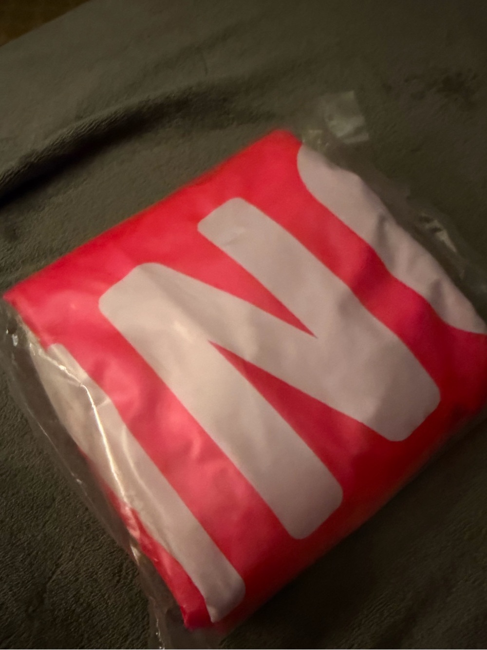 PINK by Victoria’s Secret BRAND NEW Large Inflatable Pink and White ..Ring?